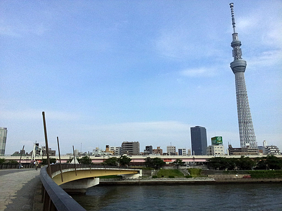隅田川の桜橋と東京スカイツリー