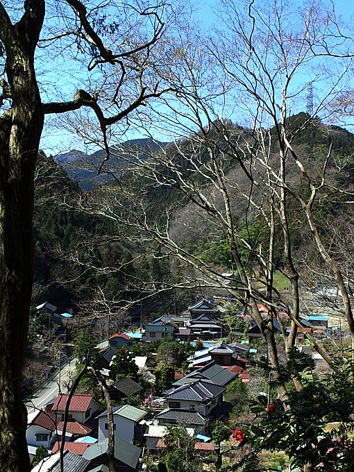 宮尾神社境内から望む上恩方の集落