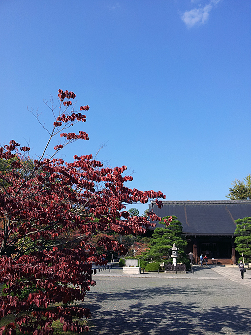 広隆寺境内